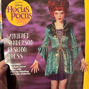 Winifred Sanderson Costume plus Size 1x